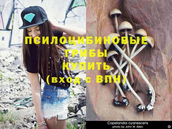 альфа пвп VHQ Няндома