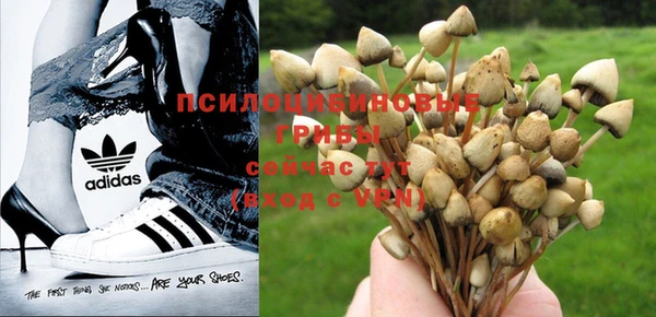 MDMA Premium VHQ Нефтегорск
